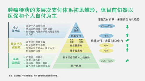 醫(yī)保談判時(shí)代的準(zhǔn)入與商業(yè)化策略 未進(jìn)入醫(yī)保目錄產(chǎn)品的突圍之路